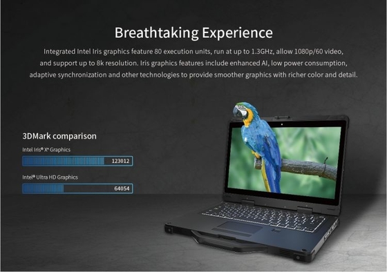 13,3 ноутбук HDMI 1920x1080 Windows 10 Intel дюйма промышленный изрезанный